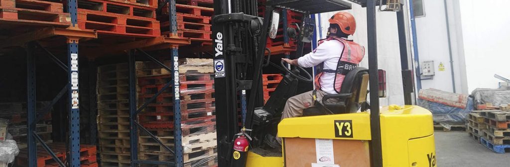 Trasegur Perú | Cursos | Certificaciones | Inspecciones