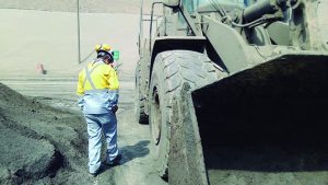 Trasegur Perú | Cursos | Certificaciones | Inspecciones